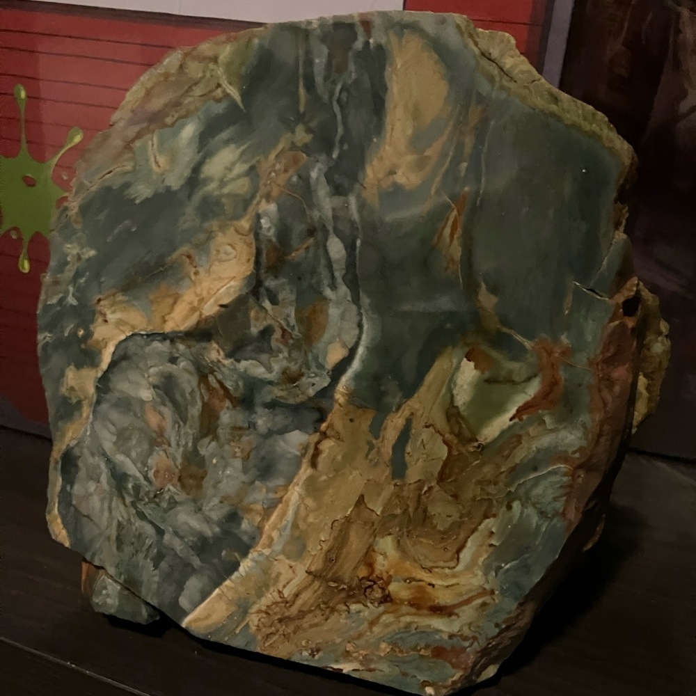Beautiful Bogwood Petrified Wood